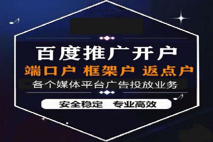 某知名企业SEM营销全案解析
